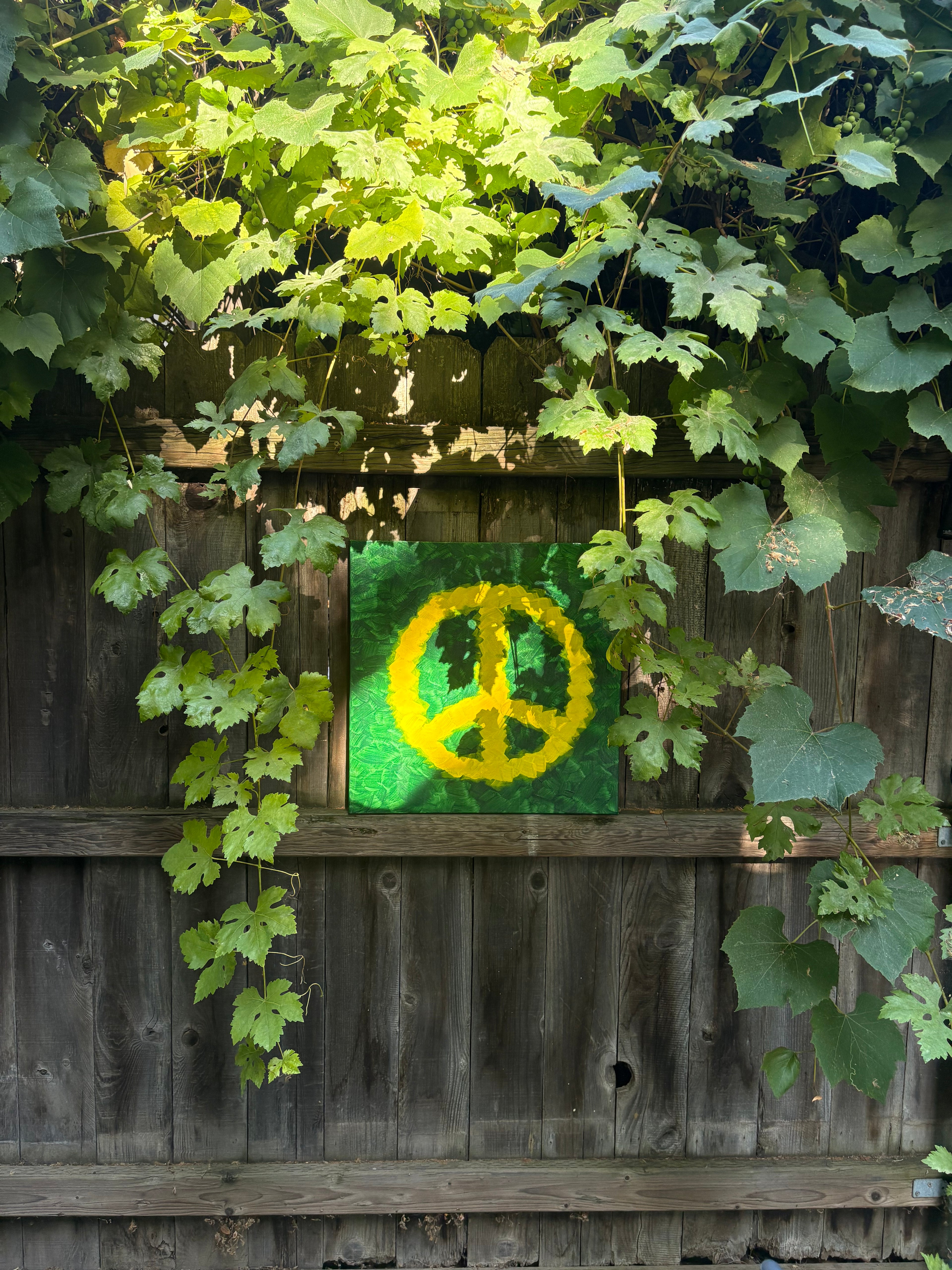 green peacey