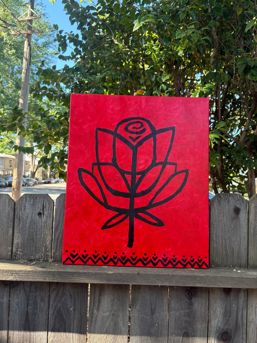 red roses ayha