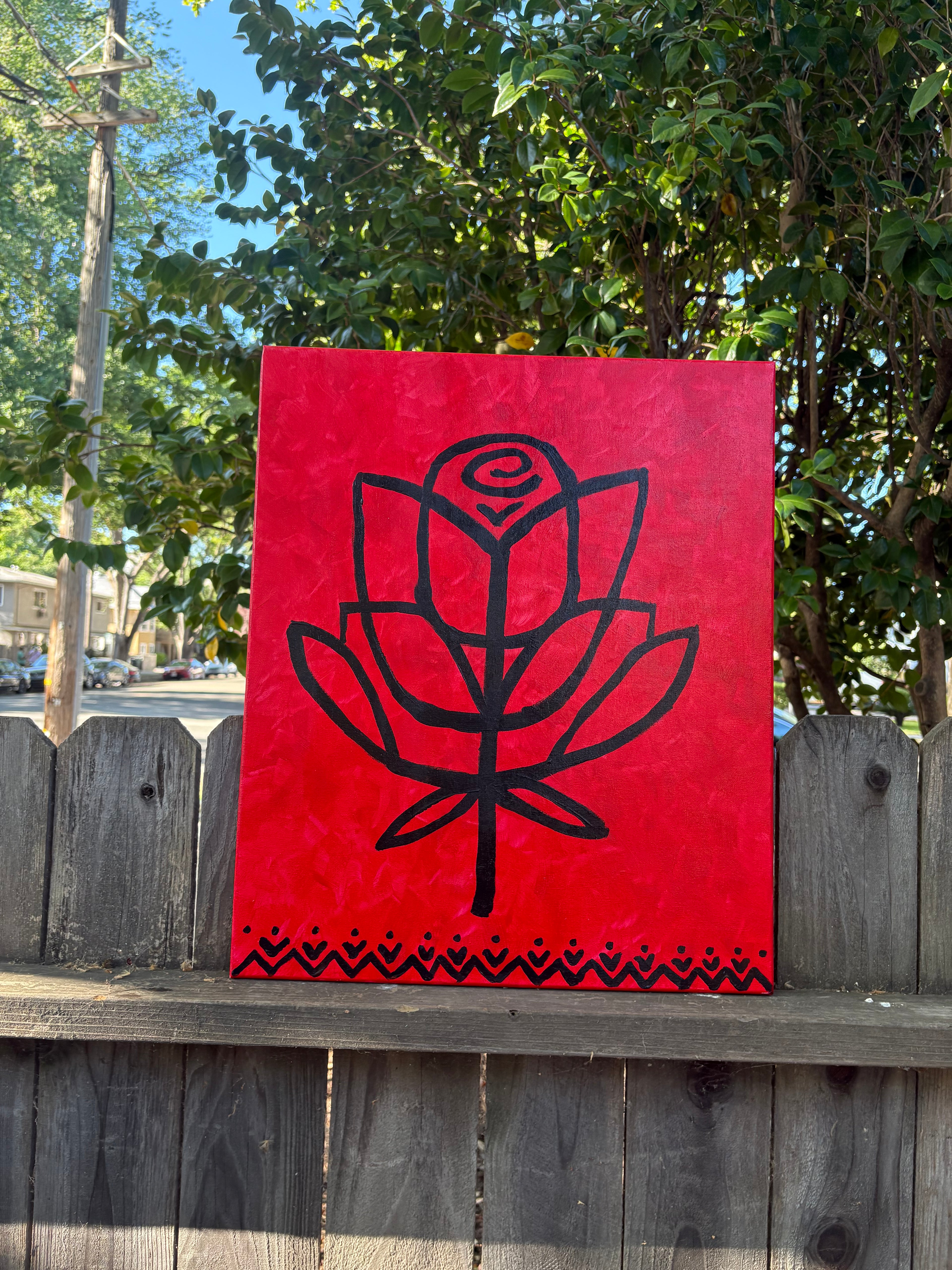 red roses ayha